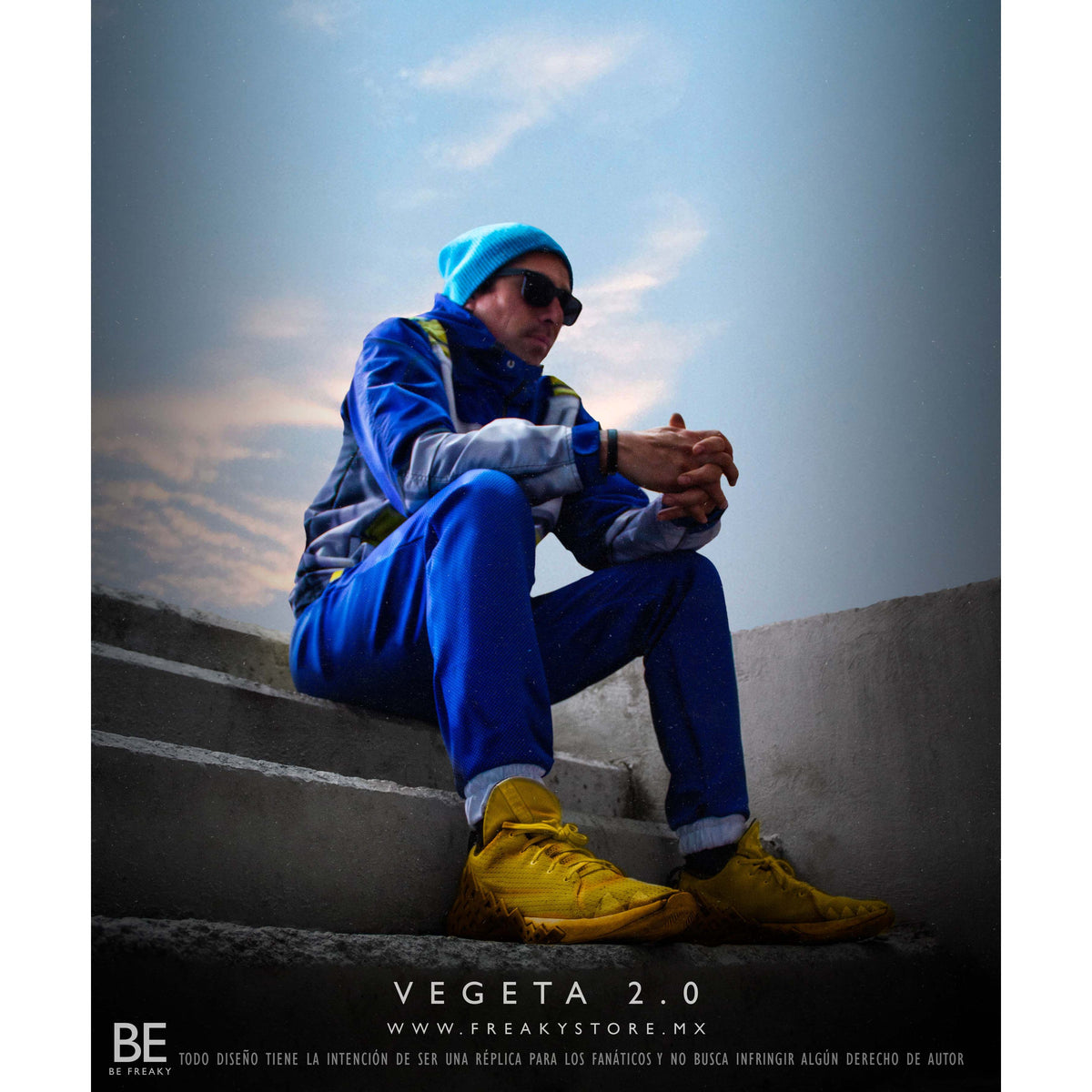 VEGETA 2.0