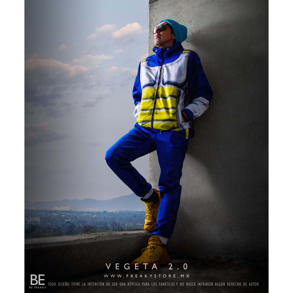 VEGETA 2.0