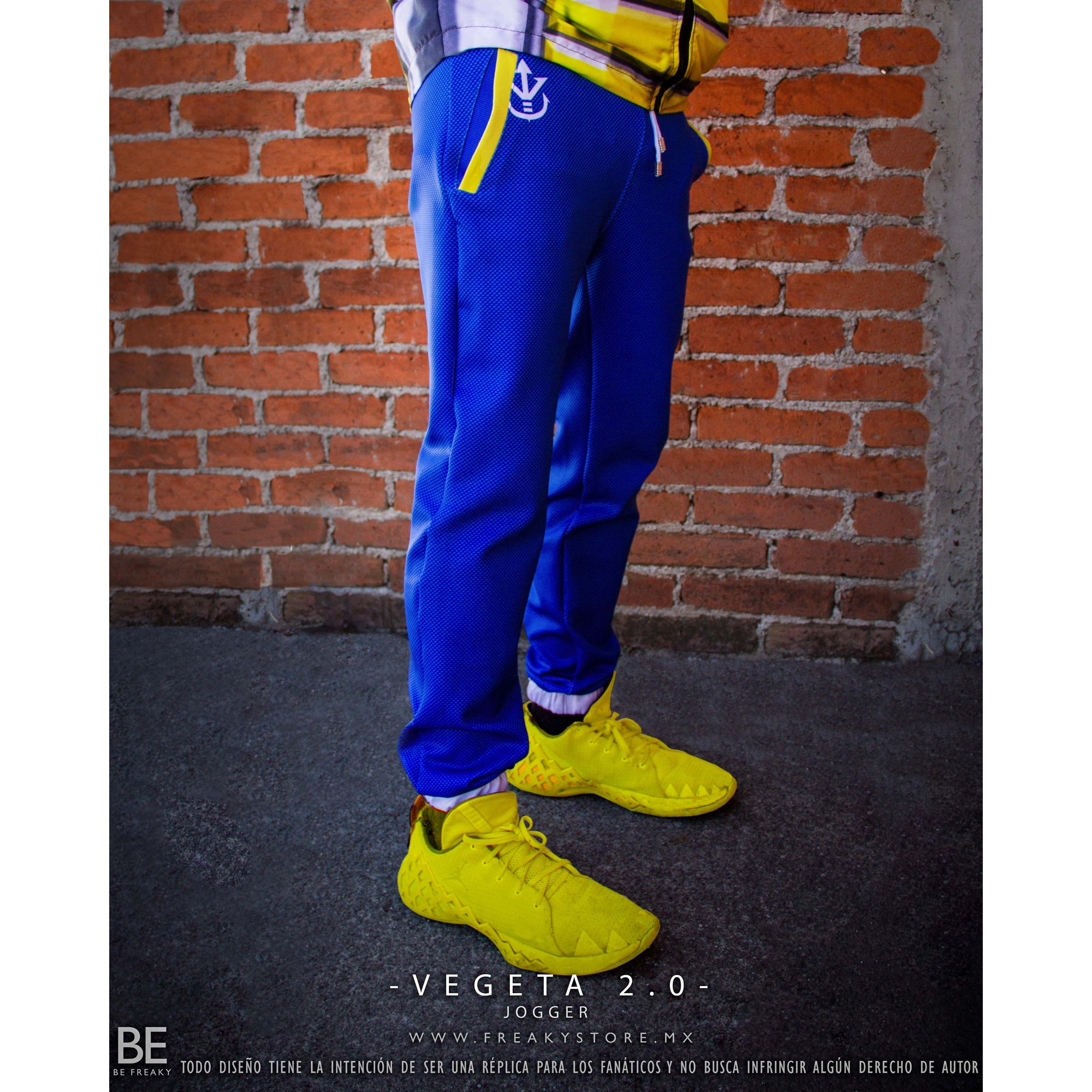 VEGETA 2.0