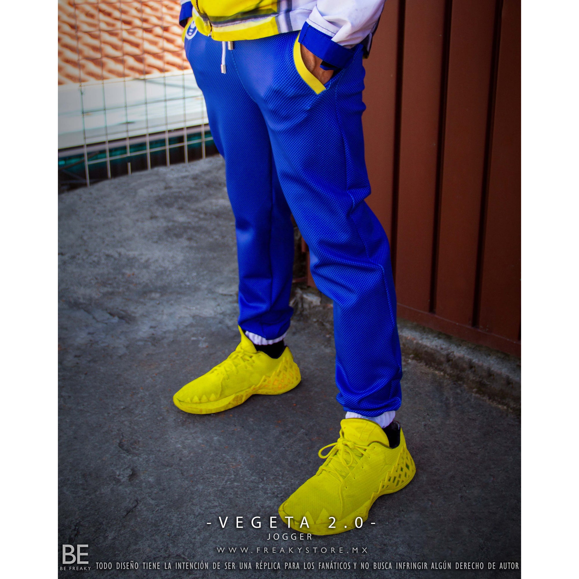 VEGETA 2.0