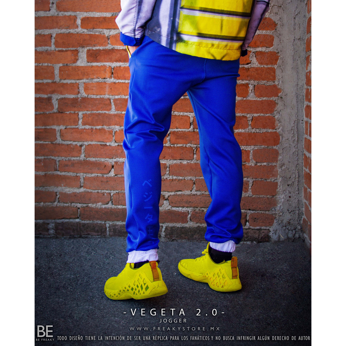 VEGETA 2.0